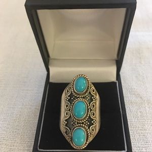 Artisan crafted Sleeping Beauty (Arizona) 925 ring